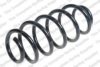 ROC CS8123 Coil Spring